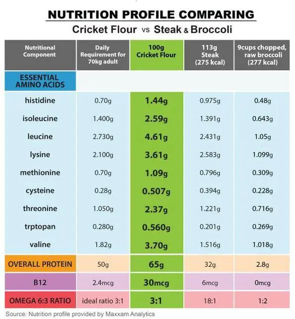 cricket flour is high in protien