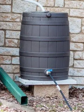 Rain Barrel